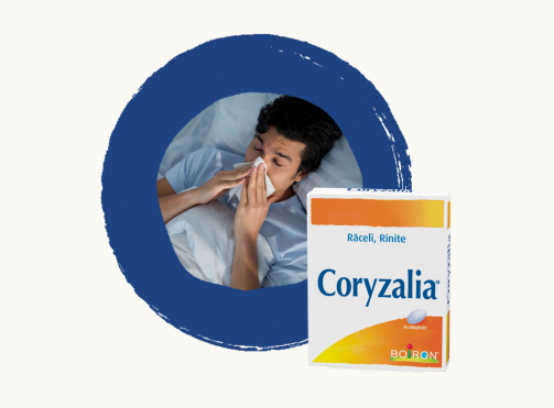 Coryzalia drajeuri