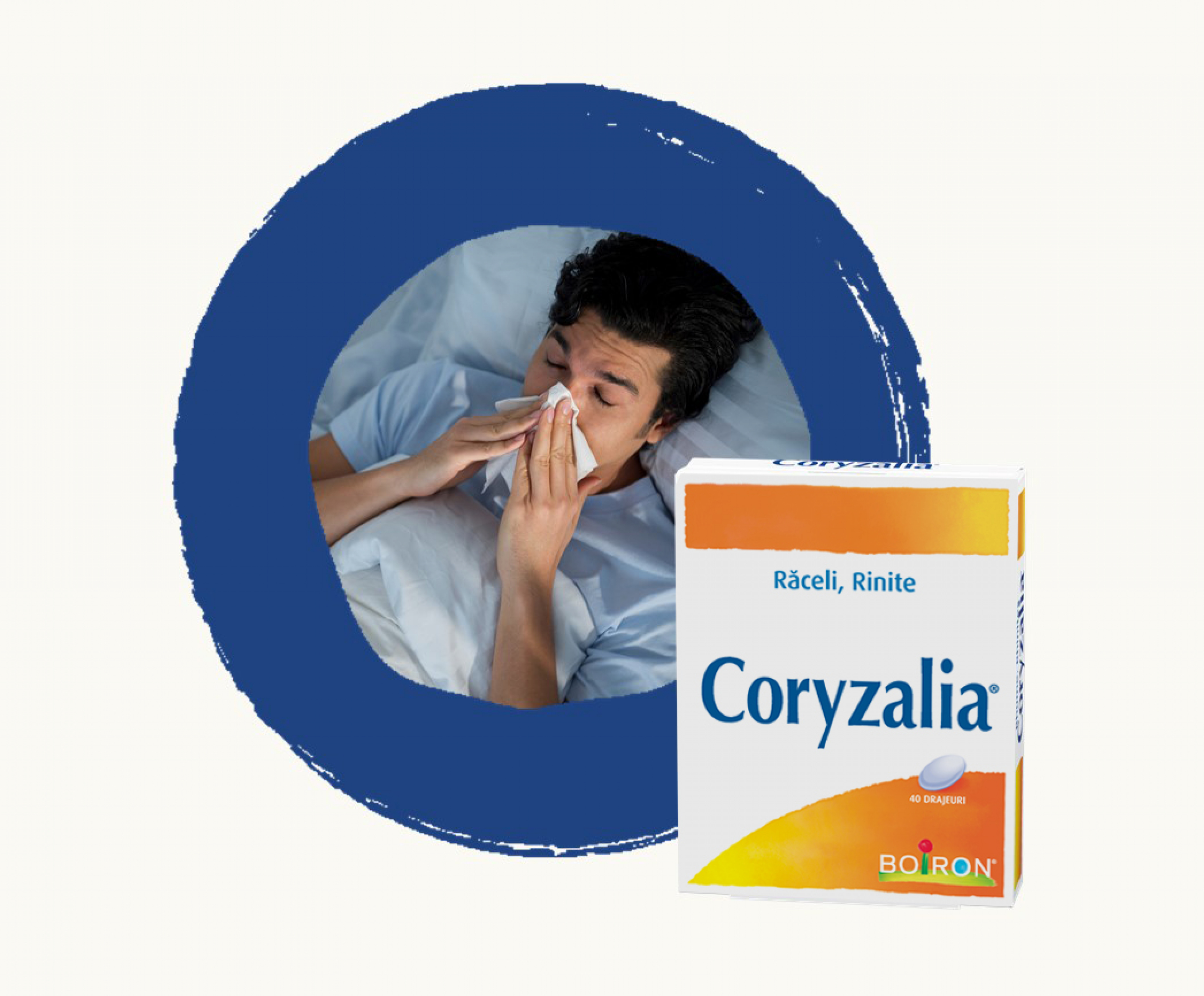 Coryzalia drajeuri